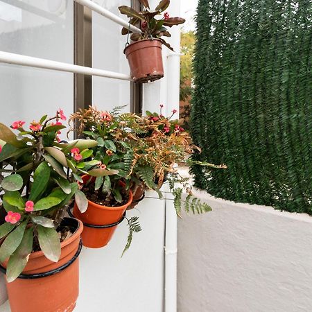Little House In Center Apartment Алмерия Екстериор снимка